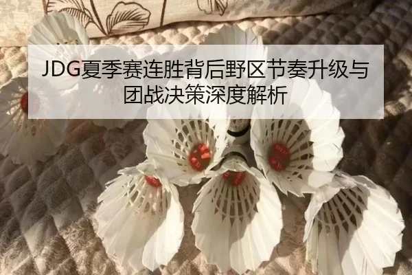 JDG夏季赛连胜背后野区节奏升级与团战决策深度解析